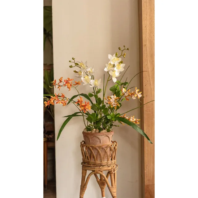 【Hutte】Orchid Garden Gift Box 擬真蘭園禮盆 (Bergspotter Elizabeth)