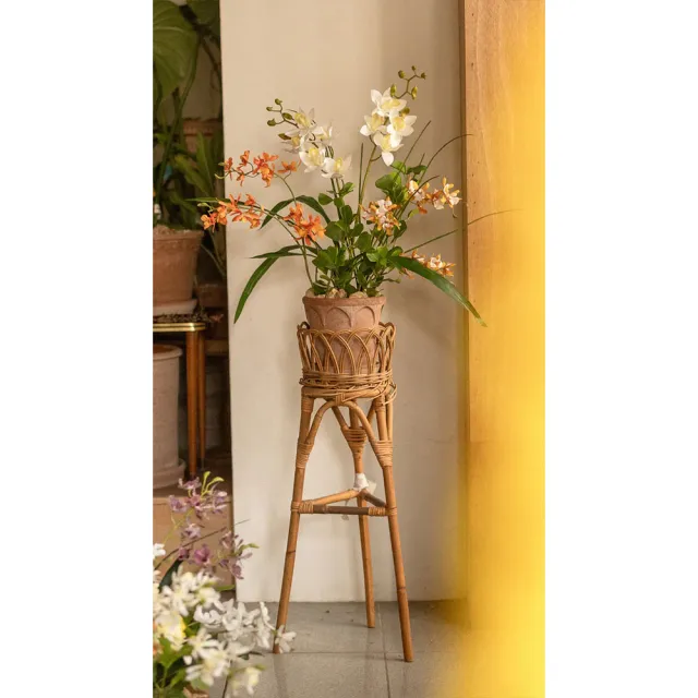 【Hutte】Orchid Garden Gift Box 擬真蘭園禮盆 (Bergspotter Elizabeth)