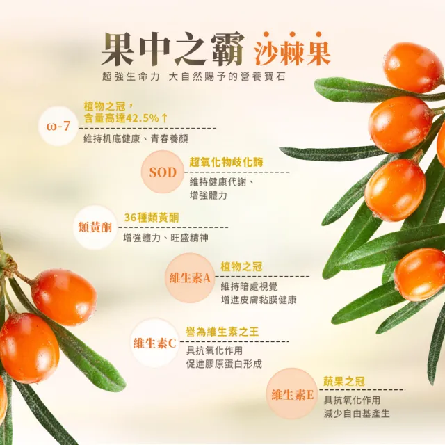 【BHK’s】沙棘果油 軟膠囊 2盒(60粒/盒)