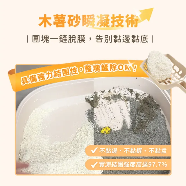 【汪喵星球】益生菌消臭瞬凝木薯砂2.4kg-6入組(瞬凝除臭 不黏底 近乎無塵 貓砂)