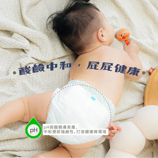 【PureBaby 波比】植萃抑菌接財褲 褲型L-XXL(單包) 2026全新升級款(北港武德宮獨家聯名)無甲醯胺