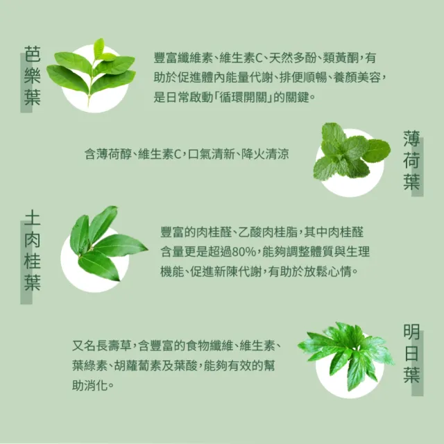 【Dr. Ginger 薑博士】芭樂葉清漾茶(2.5g/10包/袋)共2袋
