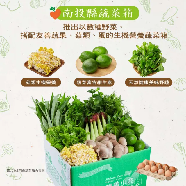 【機善小農】蔬菜箱_南投縣_家庭箱12件(每週出箱)(有機友善/鮮採直送/安心健康/支持家鄉好農產)