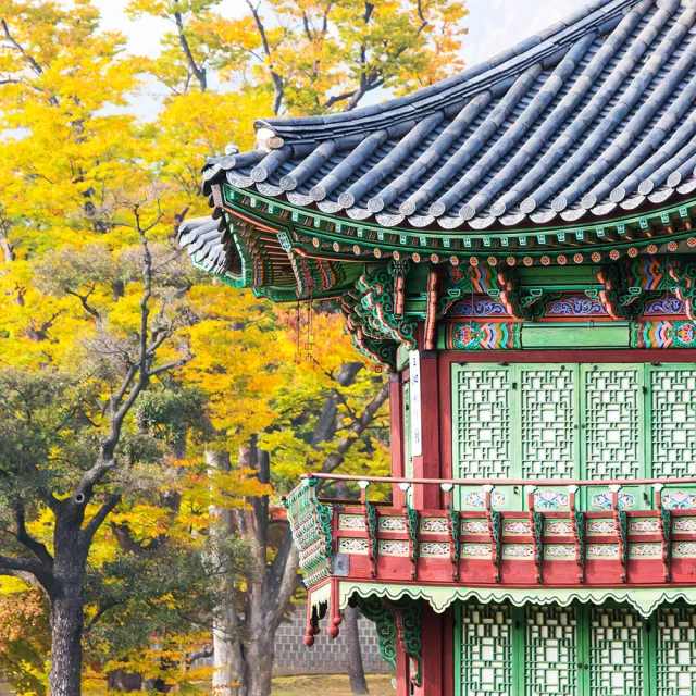買一送一~清易賞楓趣五日★愛寶樂園、俗離山、景福宮、塗鴉秀、汗蒸幕(早去晚回足五天)