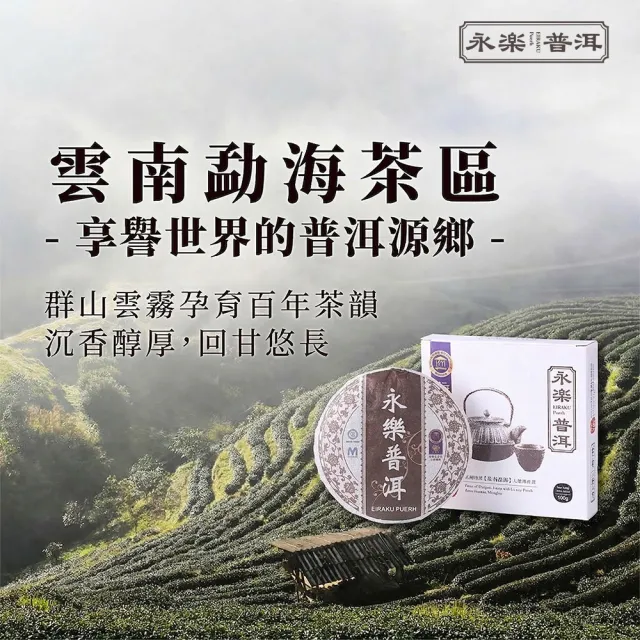 【EiRAKU】永樂普洱茶100g x 1入(茶餅 茶磚 雲南 熟茶 送禮 伴手禮 禮物 中秋禮盒)