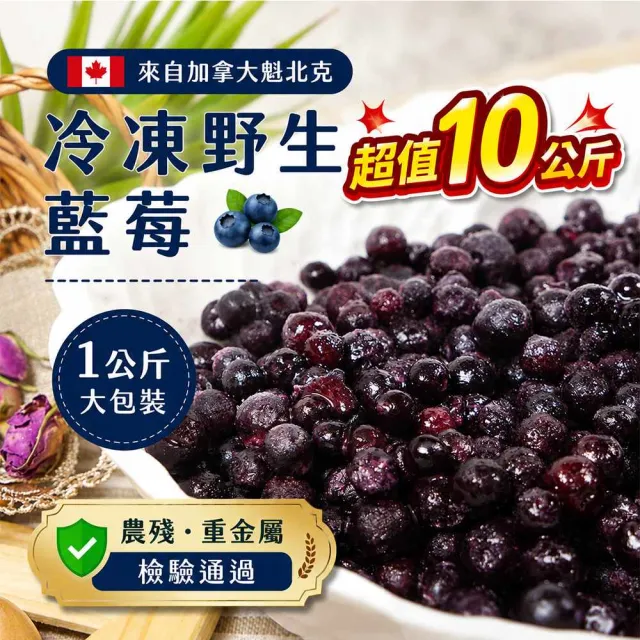 【幸美生技】加拿大進口冷凍野生藍莓1kgx10包(無農藥殘留 重金屬 檢驗合格)