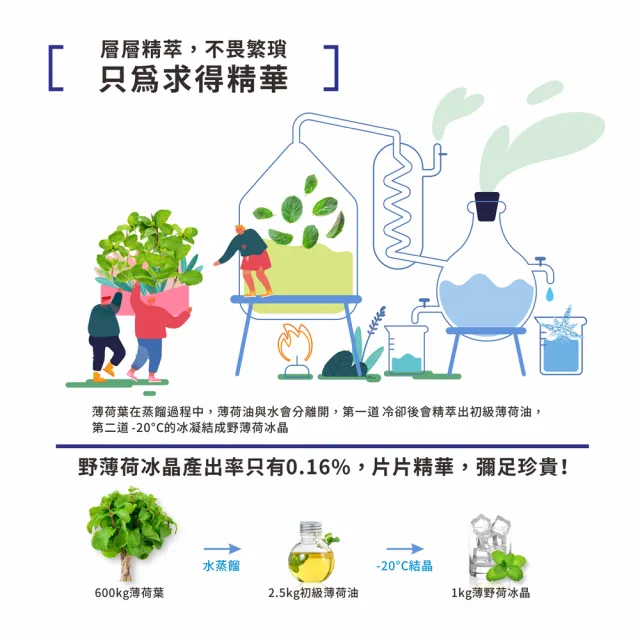 【金美克能】絲比洗髮粉3gx28入/盒X5盒    (薄荷抗屑配方/涼感)