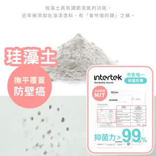 【寶媽咪】強效壁癌防水噴霧2入(單瓶不用299/不泛黃/防水牆面修補)