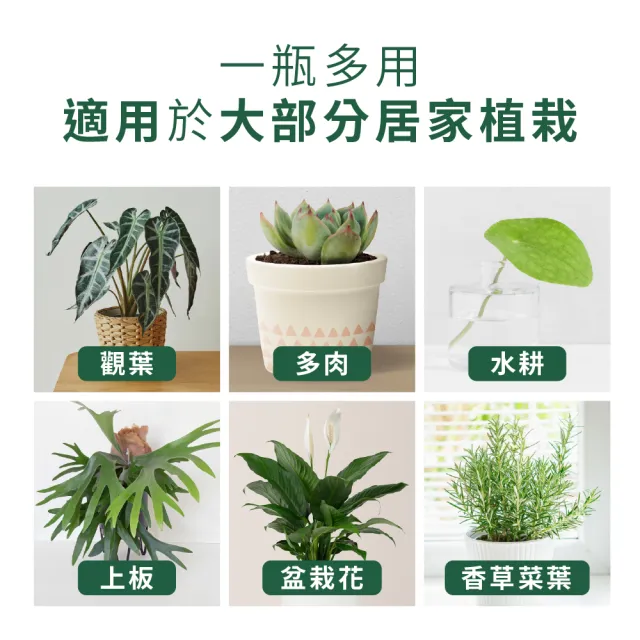 【1%植物關鍵】1%植物營養精華60mlx5(觀葉植物肥料 室內盆栽液肥 多肉植物養分 居家植栽營養劑 營養液)