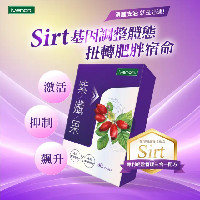 【iVENOR】專利玫瑰果多酚 紫孅果x6盒(30粒/盒 紫茶 白皮衫醇 抑制囤積)