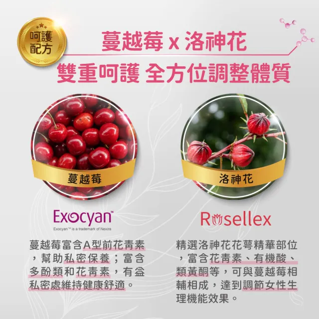 【Clinico Care 科立健】淨好莓粉包 30包X2盒(蔓越莓益生菌 洛神花 甘露糖 前花青素 愛宕柿淨味 全素食)