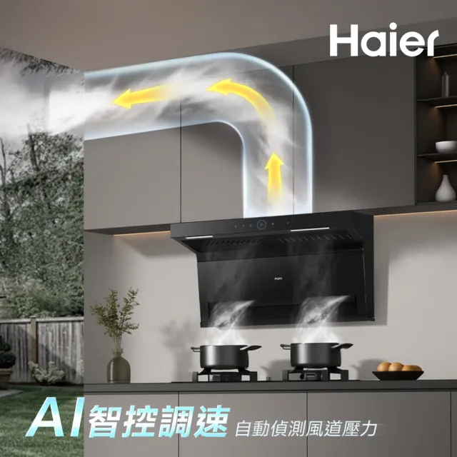 【Haier 海爾】頂側雙吸AI智淨排油煙機CT5 (HR-RHB-CT5 基本安裝)