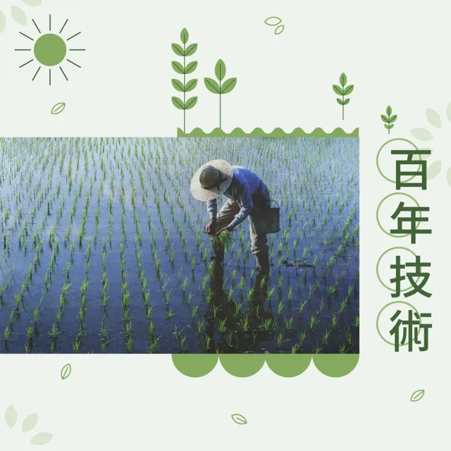 【皇家穀堡】壽豐七星胚芽糙米2.5kg (榮獲日本調理炊飯士肯定)