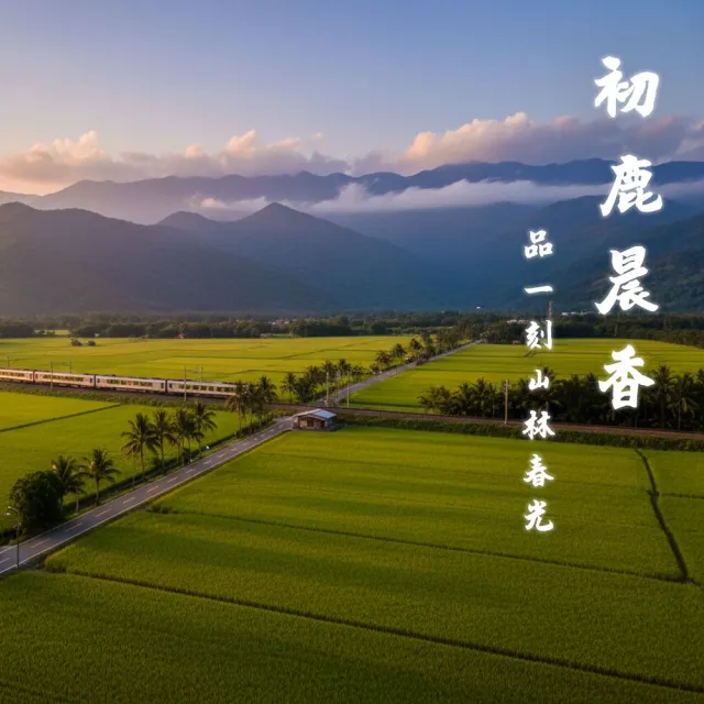 【皇家穀堡】初鹿小町米8KG (榮獲日本米食味鑑定士肯定)雙11限定