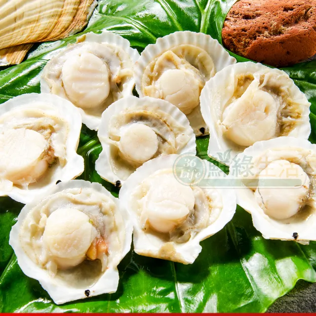 【鮮綠生活】鮮美大扇貝 共8包(300g±10%/包 約7-10顆/包;)
