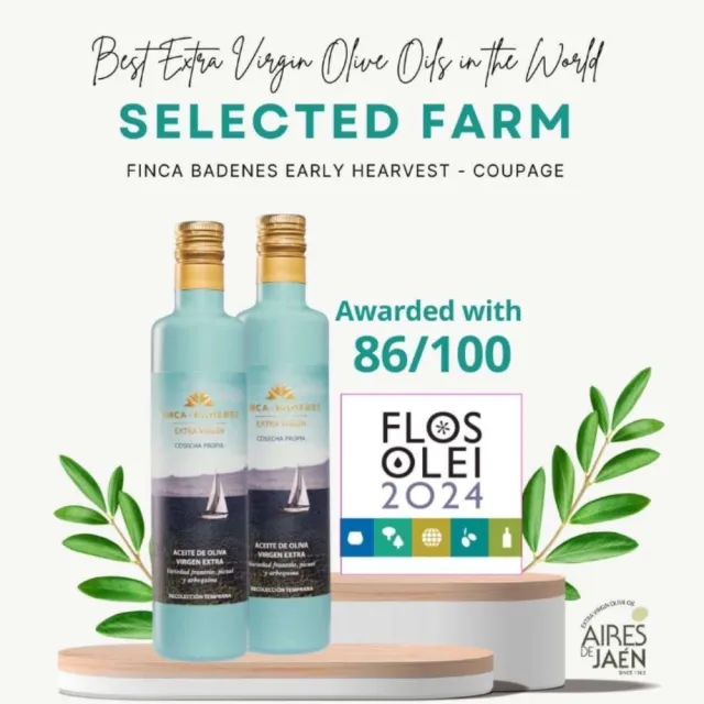【巴狄尼絲莊園】頂級初榨橄欖油500ml-2入禮盒組(共2組  /  送禮自用皆宜)