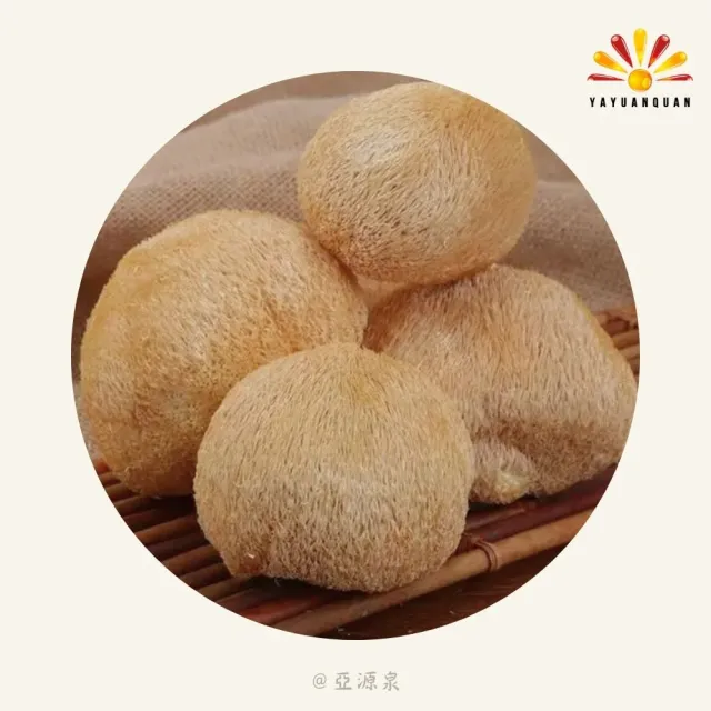 亞柏林 猴頭菇 80g/包 10包組(贈亞源泉系列商品1包)