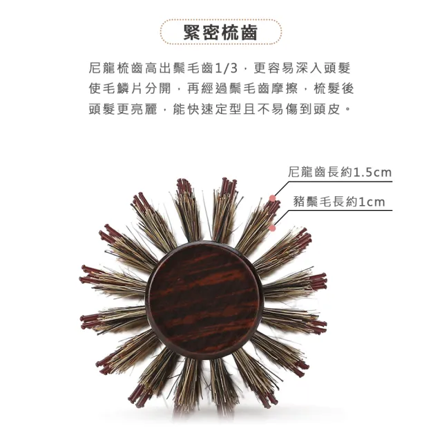 【匠心摯木】豬鬃毛 深色 圓梳 捲髮梳(總長25.5cm 直徑5cm M號)