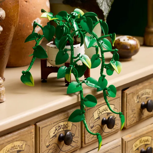【LEGO 樂高】Botanicals 11512 垂掛黃金葛(momo獨家 花藝 禮物 玩具)