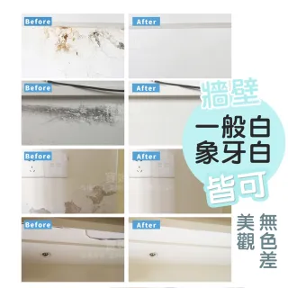 【寶媽咪】壁癌專家防水補牆膏2+2壁癌噴霧(不泛黃/牆面修補膏/補土膏/裂縫/牆壁補牆膏)