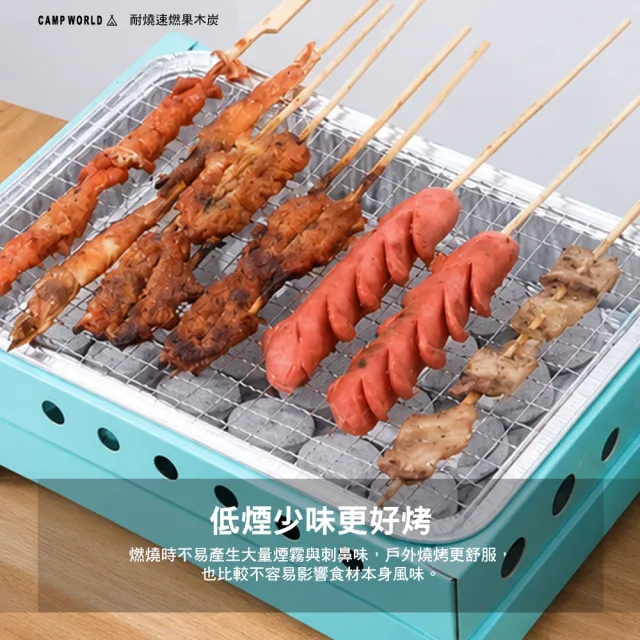 【逐露天下】耐燒速燃果木炭 1盒10包100顆 露營木炭 烤肉燃料 速燃起火 低煙少味 逐露天下