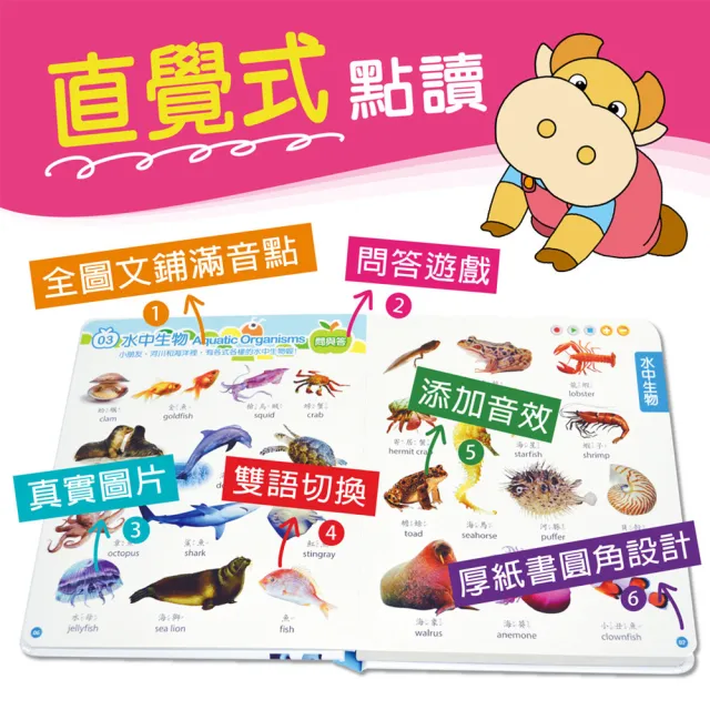 【小牛津】黃金升級版48件組全腦開發點讀大寶盒