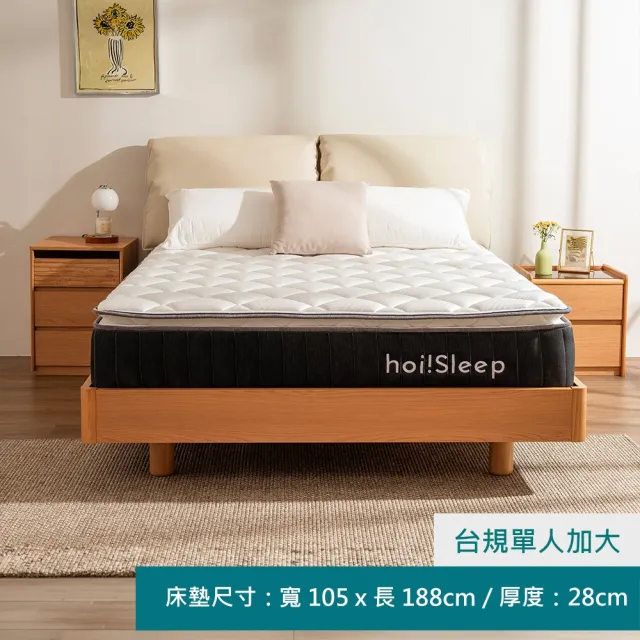 【hoi! 好好生活】Sleep DREAM 冰晶抗菌獨立筒床墊-台規單人加大105X188