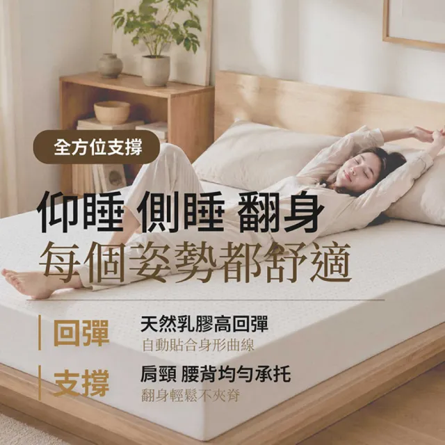 【森好眠】單人5cm頂級天然乳膠床墊3x6.2尺(醫學中心指定 經典折疊薄墊基本款 連續18年ECO檢驗 學生宿舍)