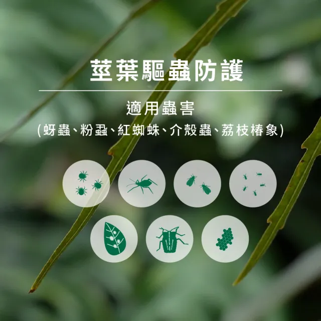 【1%植物關鍵】1%Protect+甲殼素植物驅蟲噴霧300ml(植物 抑制蟲卵 剋紅蜘蛛介殼蟲 驅蟲防蟲+養護 驅蟲神器)