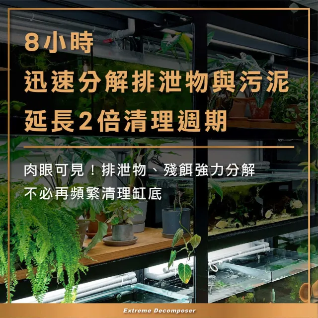 【AZOOPLUS 普樂思】[8小時迅速分解髒污] 極限分解者XD菌250ml