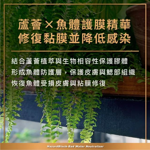 【AZOOPLUS 普樂思】[專為處理惡劣水質與高風險操作] 惡水剋星水穩護膜液 500ml