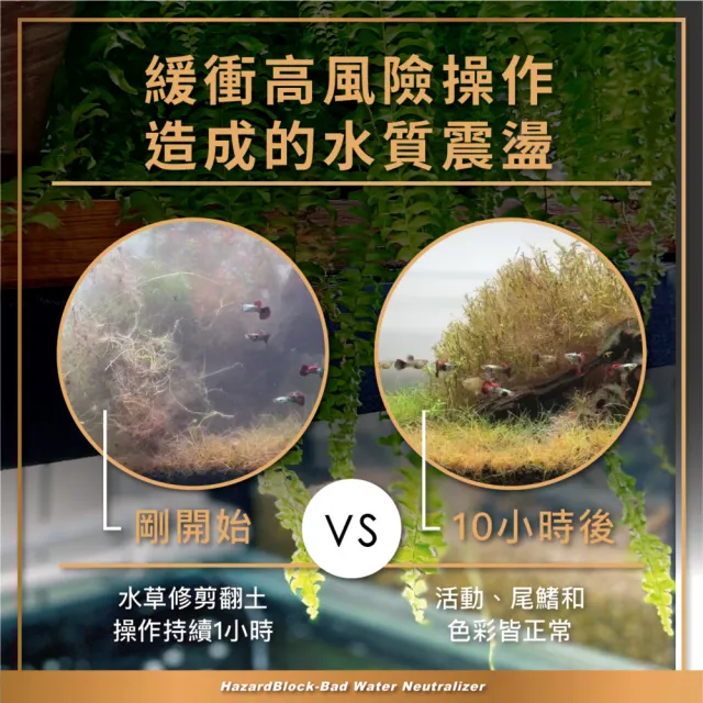 【AZOOPLUS 普樂思】[專為處理惡劣水質與高風險操作] 惡水剋星水穩護膜液 1000ml