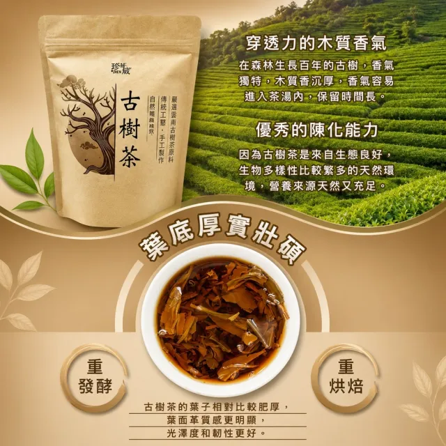 【茶好玩】古樹茶紅茶品選組 越南高山手採木質調紅茶葉75gX8包(1斤;沉厚木質香;重發酵;重焙火;全手採)