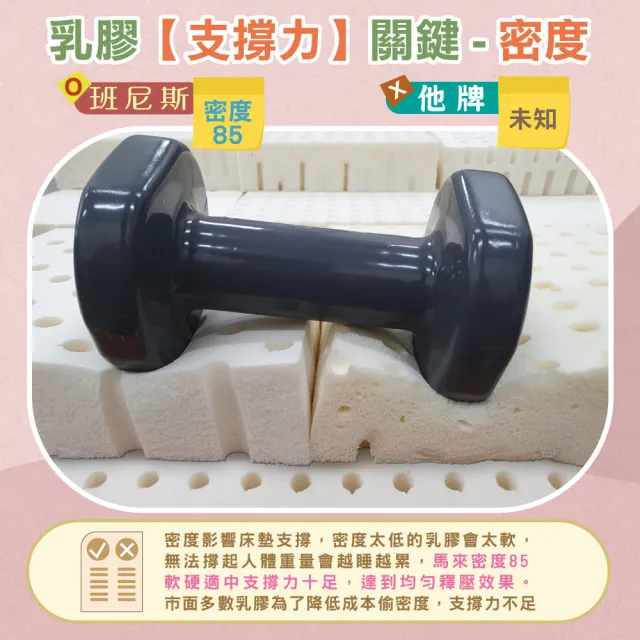 【班尼斯】單人10cm 頂級馬來天然乳膠床墊 3x6.2尺(高密度85高純度95 百萬保證馬來製/50年大廠）