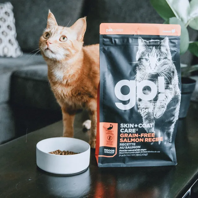 【Go!】野生鮭魚 8磅 貓咪皮毛保健系列 無穀天然糧(貓糧 護毛 貓飼料 全齡貓 寵物食品)