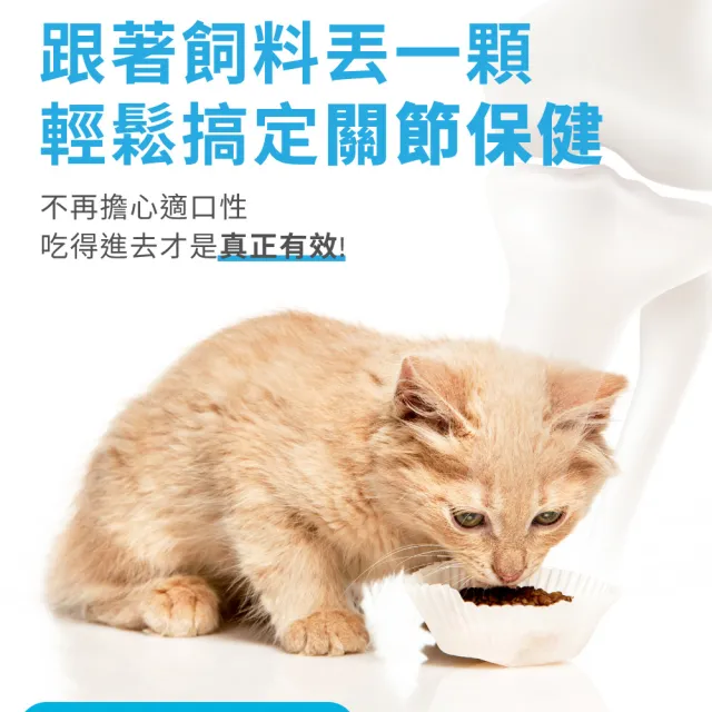 【OurPet 奧沛】貓用關沛錠x5瓶(30顆、貓關節保健食品 寵物關節保養 軟骨素 葡萄糖胺 UC2)