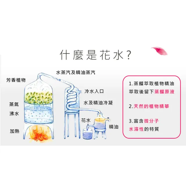 【NEW DIRECTIONS】天竺葵-花水純露1000ml(澳洲原裝進口-新方向)