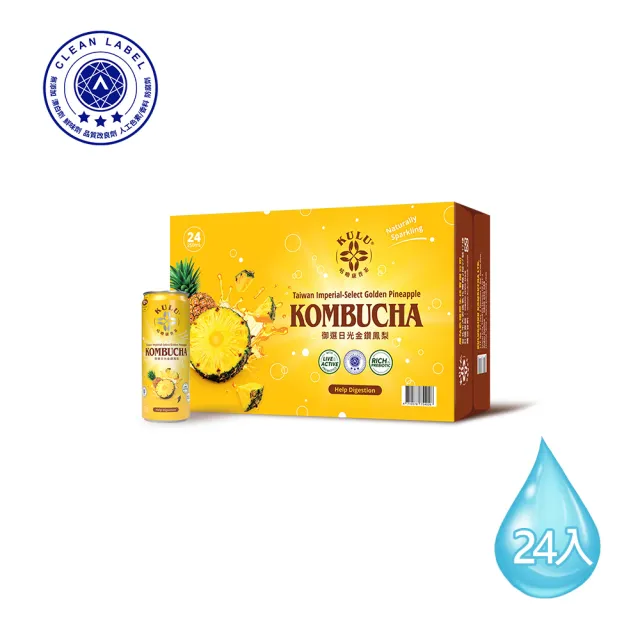 【KuluDrink 咕嚕茶】御選日光金鑽鳳梨 咕嚕康普茶 250ml 24入/1箱(康普茶 Kombucha 氣泡飲 益生菌 益生質)