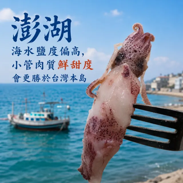 【老張鮮物】澎湖有墨熟小管/冰卷 2包組(300g±10%/包 每隻8公分以下)