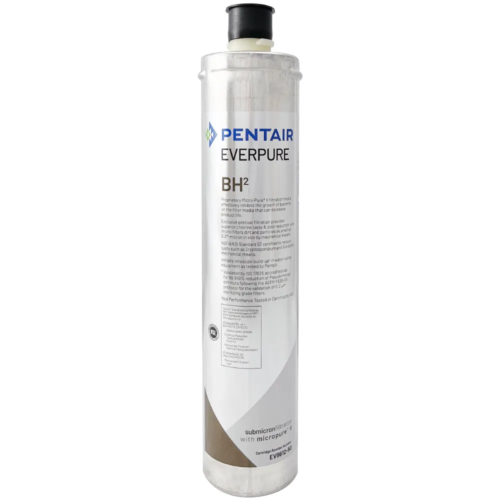 【濱特爾】EVERPURE 美國原裝進口濾心(BH2 平輸品)