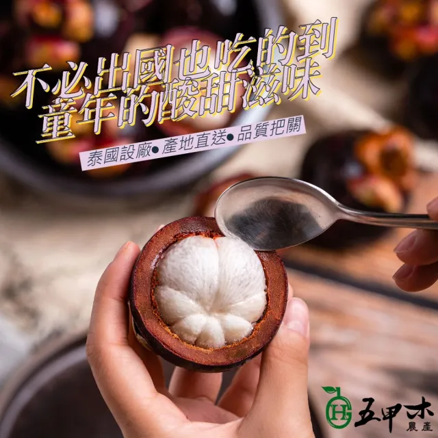 【五甲木】泰國冷凍帶殼山竹x8包(500克/包_約4-6顆)