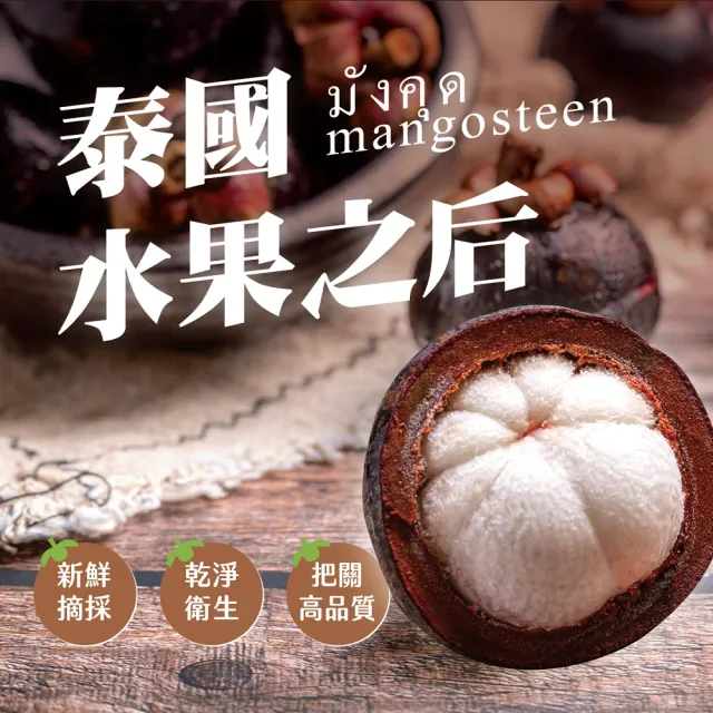 【五甲木】泰國冷凍帶殼山竹x12包(500克/包_約4-6顆)