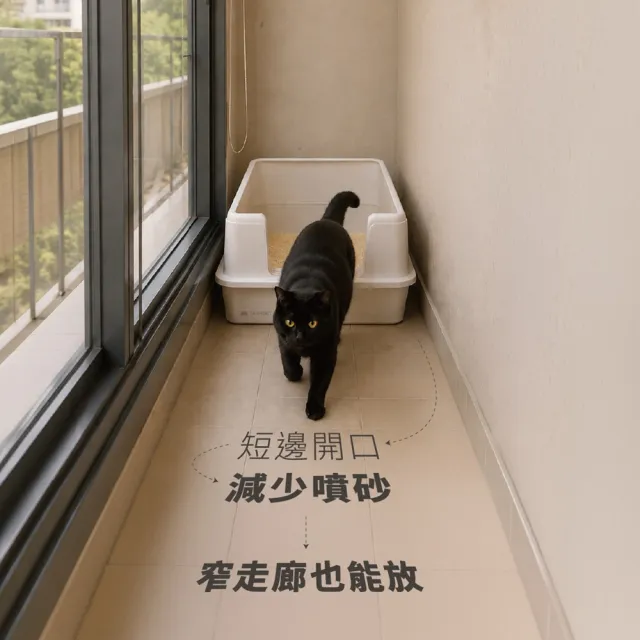 【Tashiro】Tashiro 不鏽鋼貓砂盆 豆腐盒 超大70cm 多貓家庭推薦 一體成形無縫 霧面抗刮 抗臭好清潔