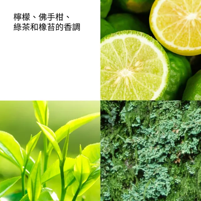 【伊麗莎白雅頓】超人氣綠茶香水沐浴團購組 (500mlx6)