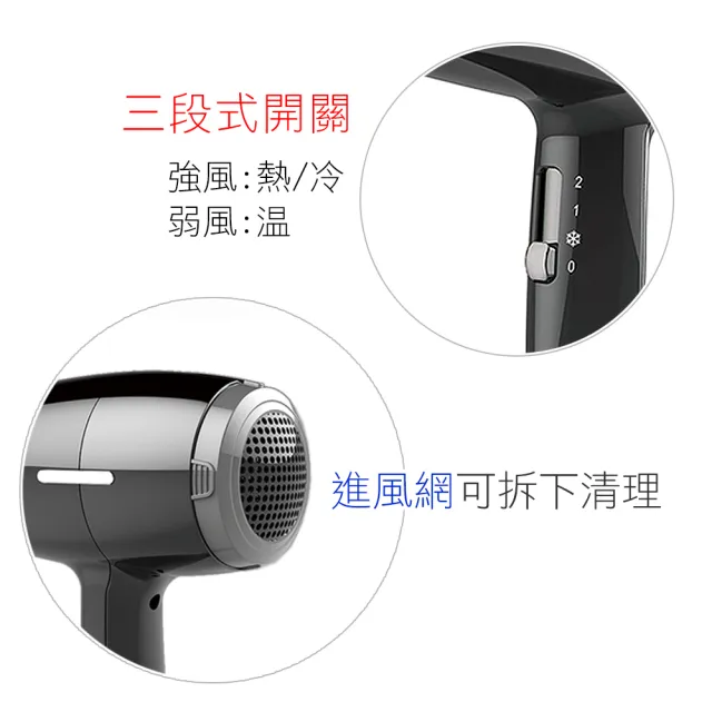 【達新牌】日本名牌馬達 沙龍級專業吹風機 TS-1188 (速乾 大風量 冷風功能)
