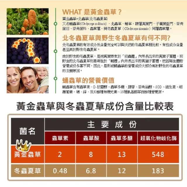 【草本之家】黃金蟲草膠囊3入組90粒/入(北蟲草.蛹蟲草)