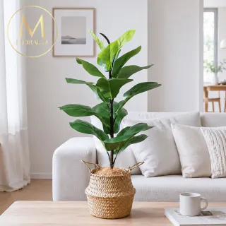 【Floral M】居家首選琴葉榕55cm仿真植栽(贈編織籃)(人造植栽/仿真樹/室內佈置/居家裝飾/桌上型植栽)