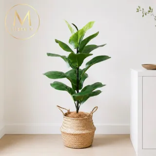 【Floral M】居家首選琴葉榕55cm仿真植栽(贈編織籃)(人造植栽/仿真樹/室內佈置/居家裝飾/桌上型植栽)
