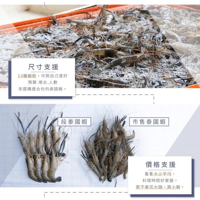 【段泰國蝦】屏東鮮凍泰國蝦 普拉斯大蝦 B+級胡椒蝦款 600gx2包(約24-28隻 公母混合)