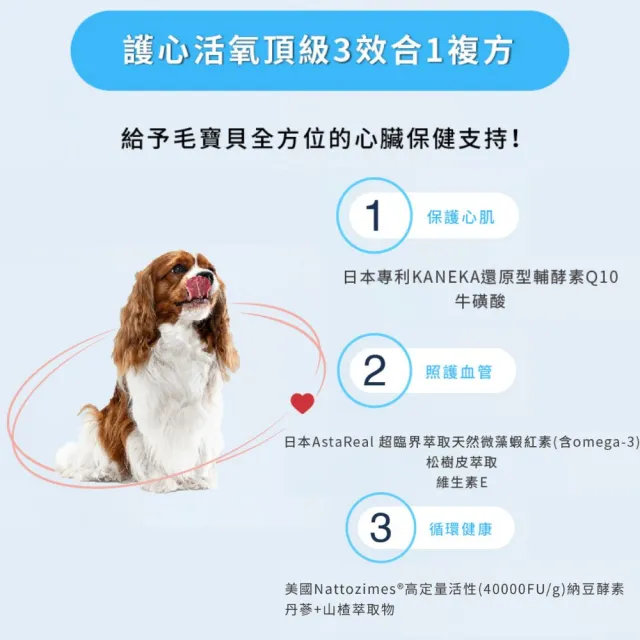 【Natural10 自然食】寵立善 犬貓Q10護心活氧複方膠囊 60顆/盒(寵物心臟保健 專利還原型Q10 小型犬保健)